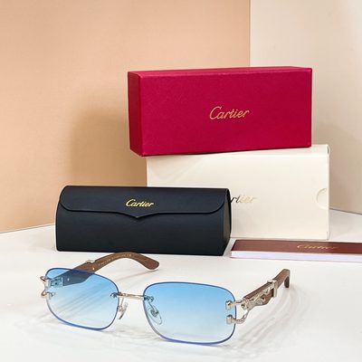 Cartier Sunglasses — 8