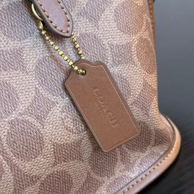 Coach Bag — 5