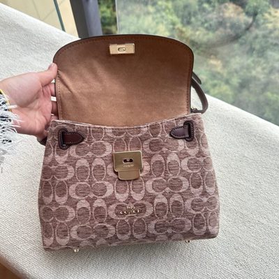 Coach Bag — 7