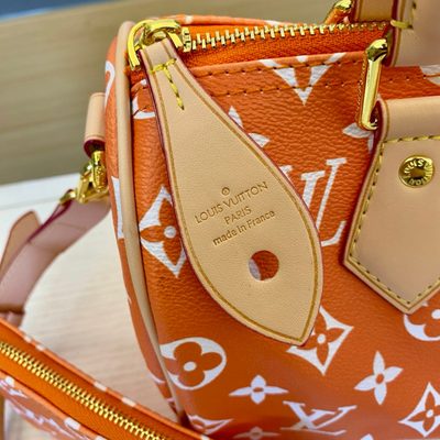 Louis Vuitton Bag — 5
