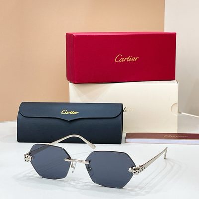 Cartier Sunglasses — 4