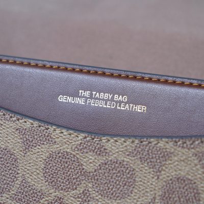 Coach Bag — 8