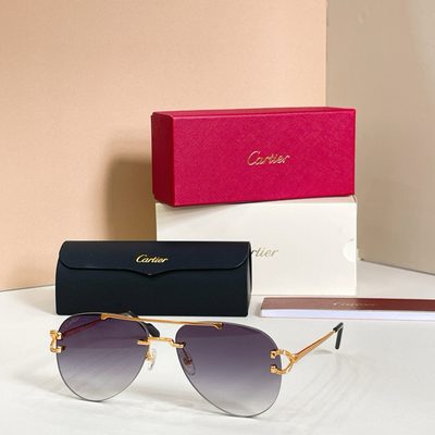 Cartier Sunglasses — 5