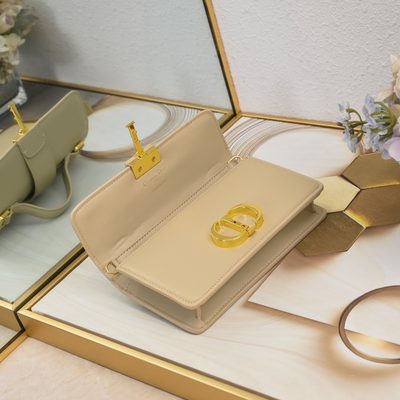 Dior Bag — 7