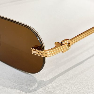 Cartier Sunglasses — 7