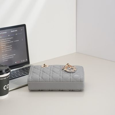 Dior Bag — 7