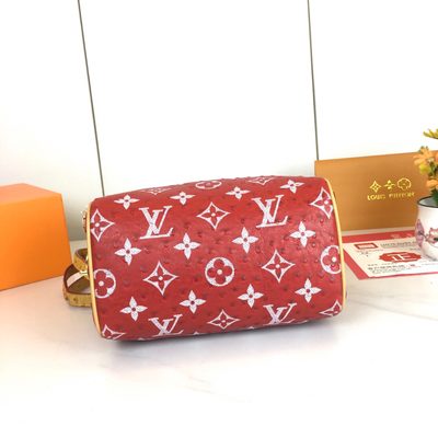 Louis Vuitton Bag — 6