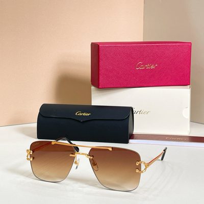 Cartier Sunglasses — 4