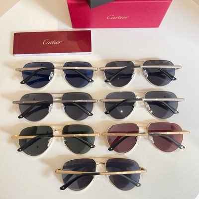 Cartier Sunglasses — 8