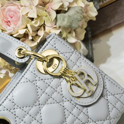 Dior Bag — 6