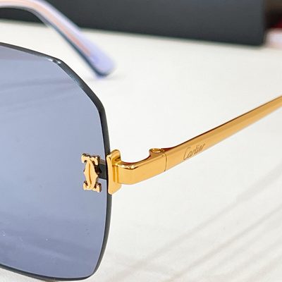 Cartier Sunglasses — 9