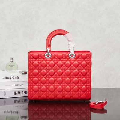 Dior Bag — 3