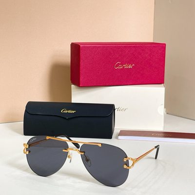 Cartier Sunglasses — 3