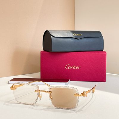 Cartier Sunglasses — 7