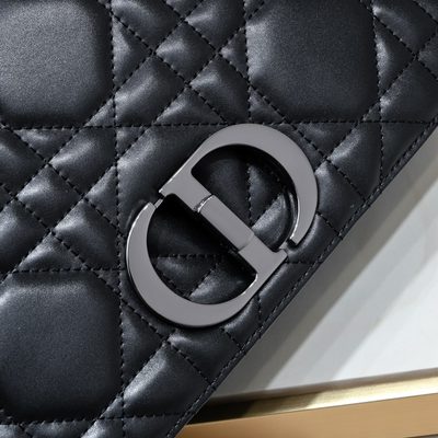 Dior Bag — 5
