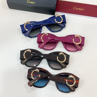 Cartier Sunglasses — 8