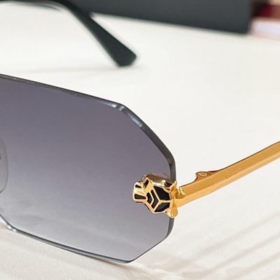 Cartier Sunglasses — 9