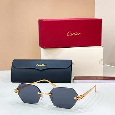 Cartier Sunglasses — 8