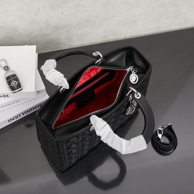 Dior Bag — 9