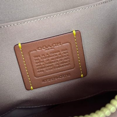 Coach Bag — 7