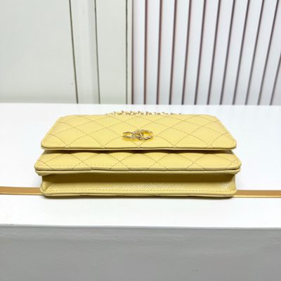 Chanel Bag — 5