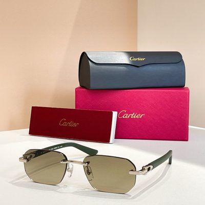 Cartier Sunglasses — 7