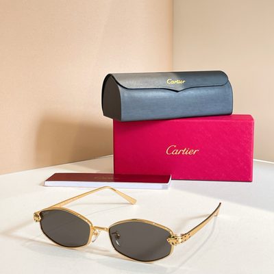 Cartier Sunglasses — 7