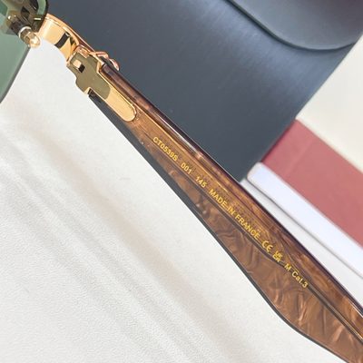 Cartier Sunglasses — 6