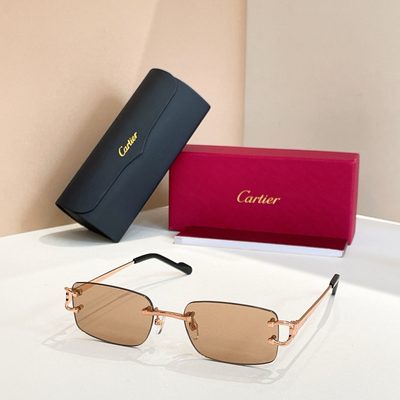 Cartier Sunglasses — 8