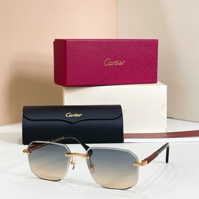 Cartier sunglasses — 6
