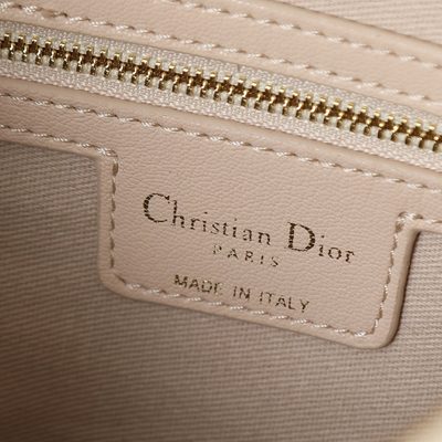 Dior Bag — 9