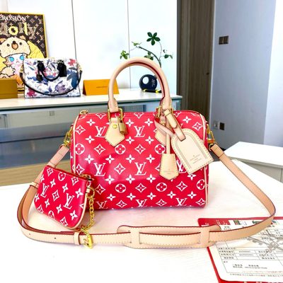 Louis Vuitton Bag