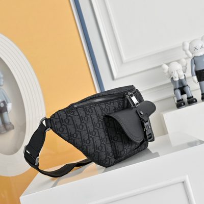 Dior Saddle Belt Bag — 4