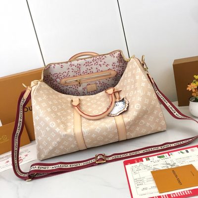 Louis Vuitton Bag — 5