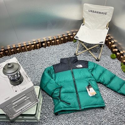 The North Face 1996 Retro Nuptse Puffer Jacket — 8