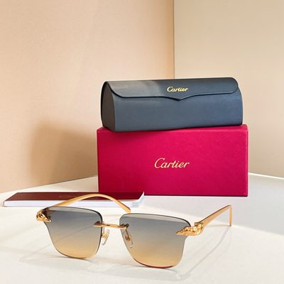 Cartier Sunglasses — 3