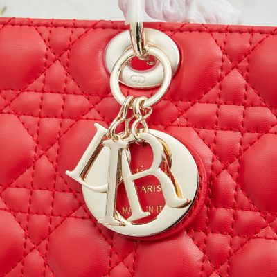 Dior Bag — 5