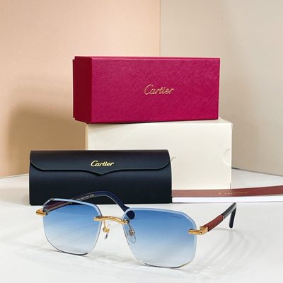 Cartier sunglasses — 3