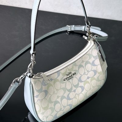 Coach Bag — 4