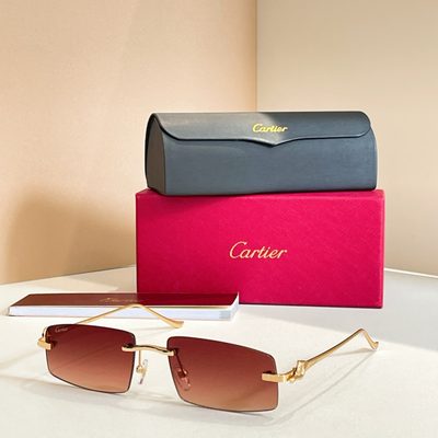 Cartier Sunglasses — 6