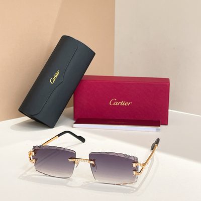 Cartier Sunglasses — 3