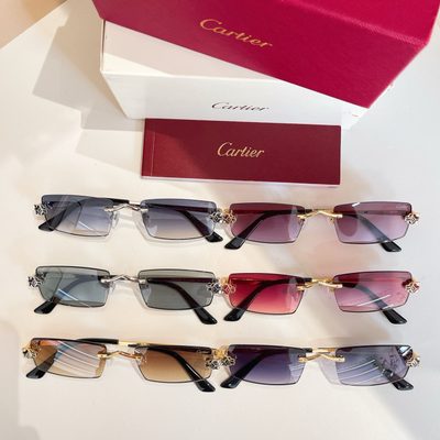 Cartier Sunglasses — 8