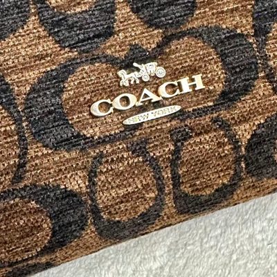 Coach Bag — 8