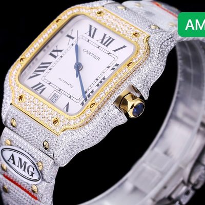 Cartier Watch — 6