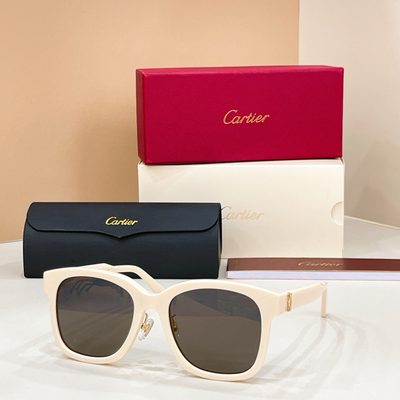 Cartier Sunglasses — 6