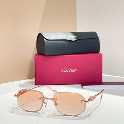 Cartier Sunglasses — 7