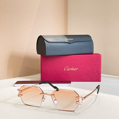 Cartier Sunglasses — 3