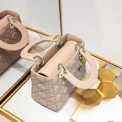 Dior Bag — 7