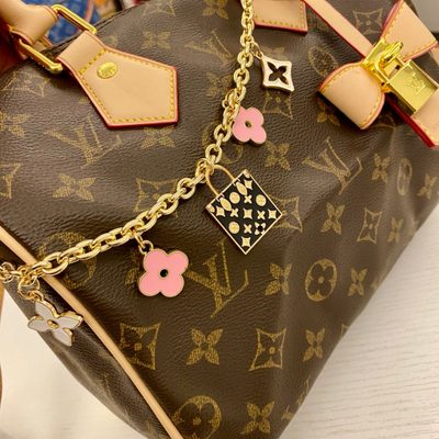 Louis Vuitton Bag — 3
