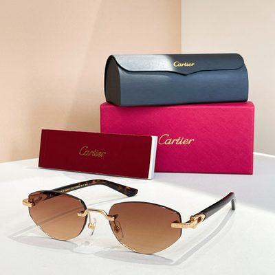 Cartier Sunglasses